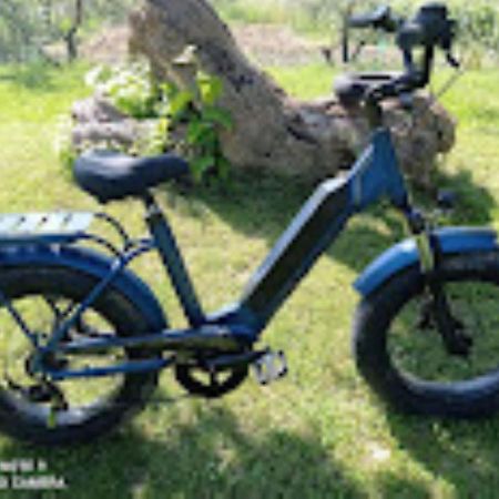 Agriturismo Il Bacucco Montecarotto Eksteriør billede