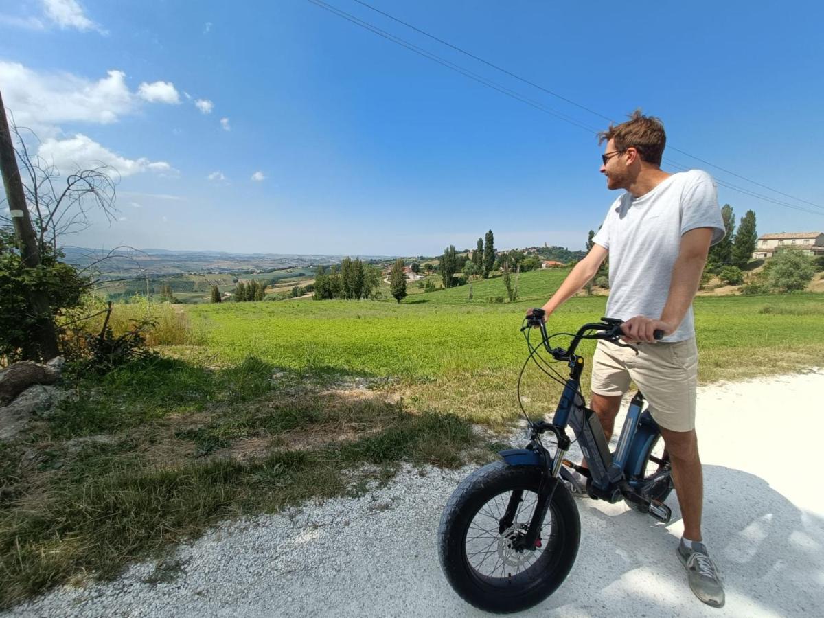 Agriturismo Il Bacucco Montecarotto Eksteriør billede