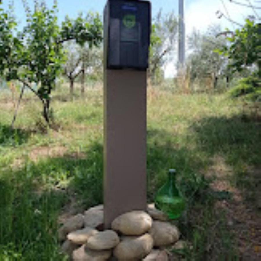 Agriturismo Il Bacucco Montecarotto Eksteriør billede
