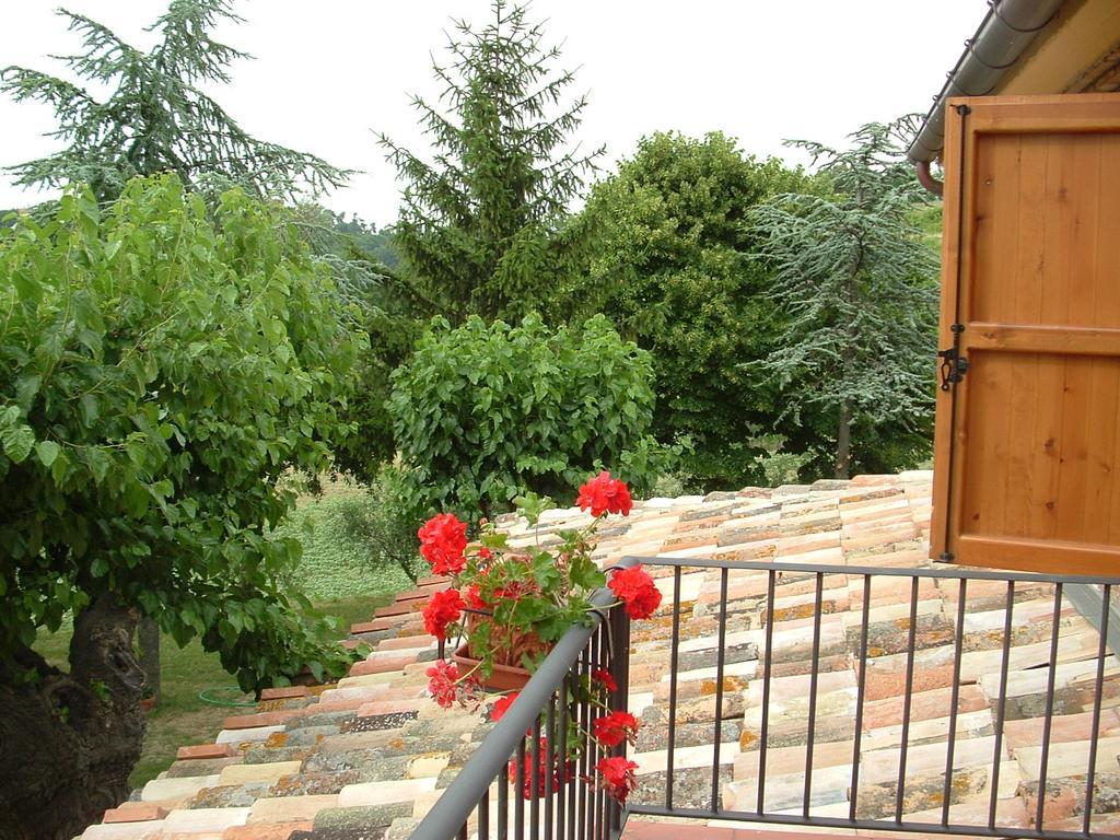 Agriturismo Il Bacucco Montecarotto Eksteriør billede