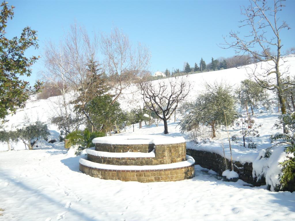 Agriturismo Il Bacucco Montecarotto Eksteriør billede