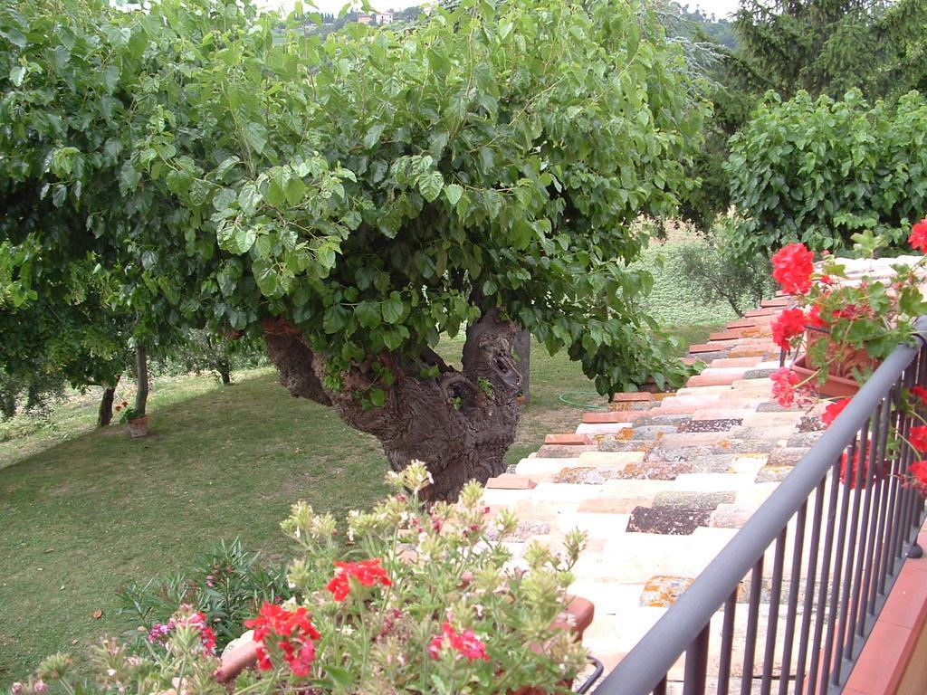 Agriturismo Il Bacucco Montecarotto Eksteriør billede