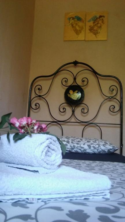 Agriturismo Il Bacucco Montecarotto Eksteriør billede