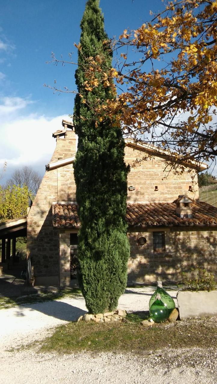 Agriturismo Il Bacucco Montecarotto Eksteriør billede