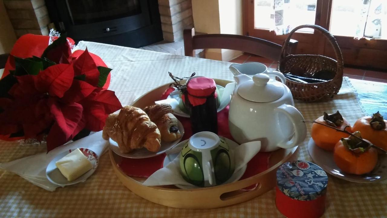 Agriturismo Il Bacucco Montecarotto Eksteriør billede