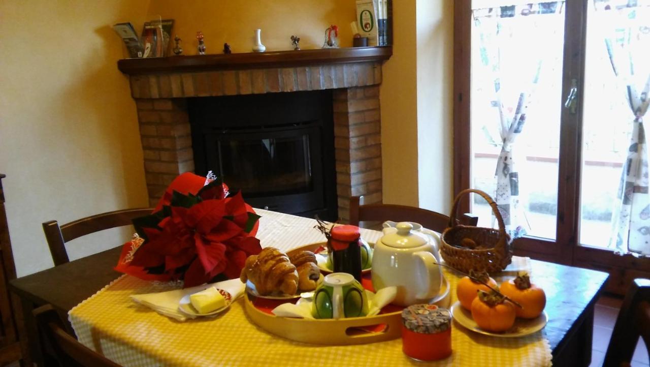 Agriturismo Il Bacucco Montecarotto Eksteriør billede