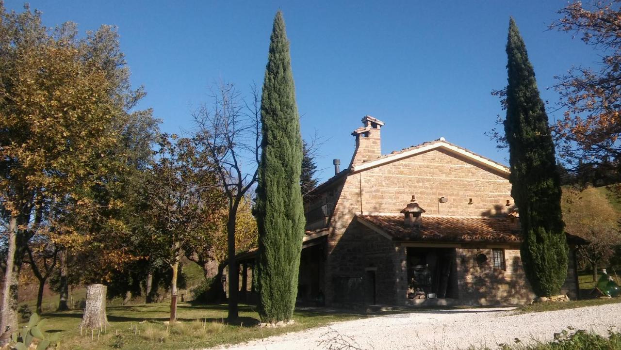Agriturismo Il Bacucco Montecarotto Eksteriør billede