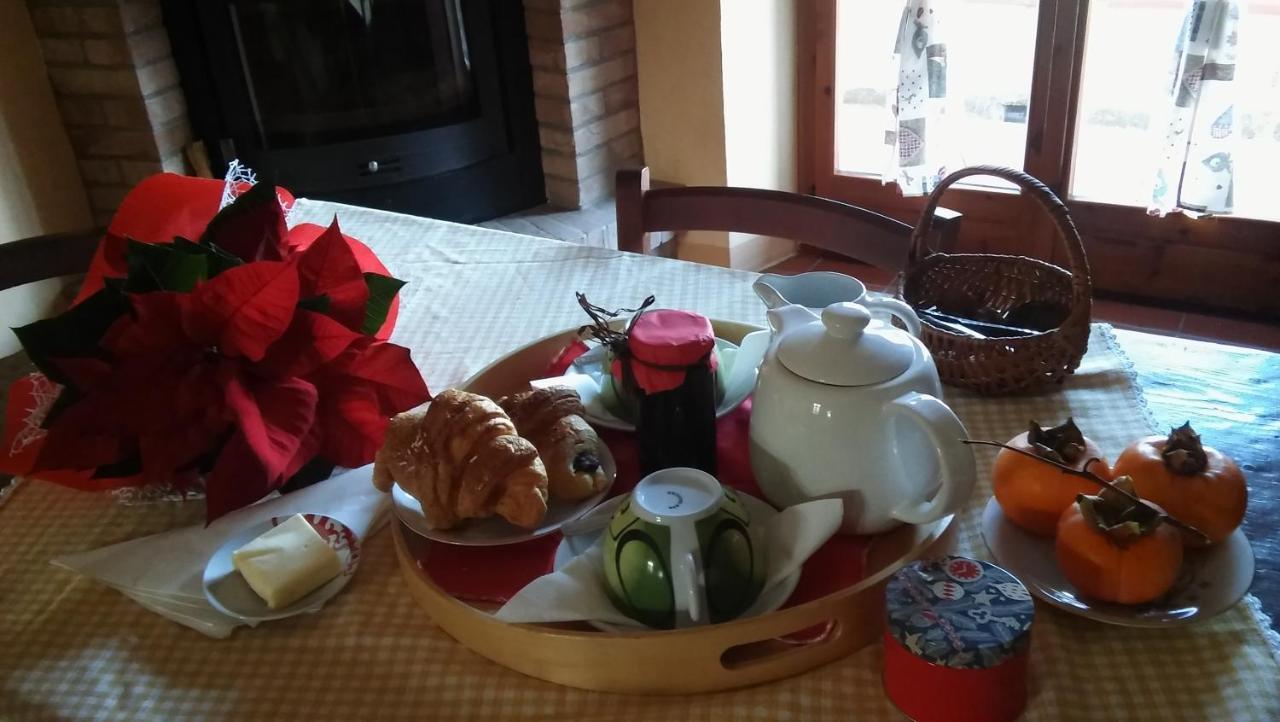 Agriturismo Il Bacucco Montecarotto Eksteriør billede