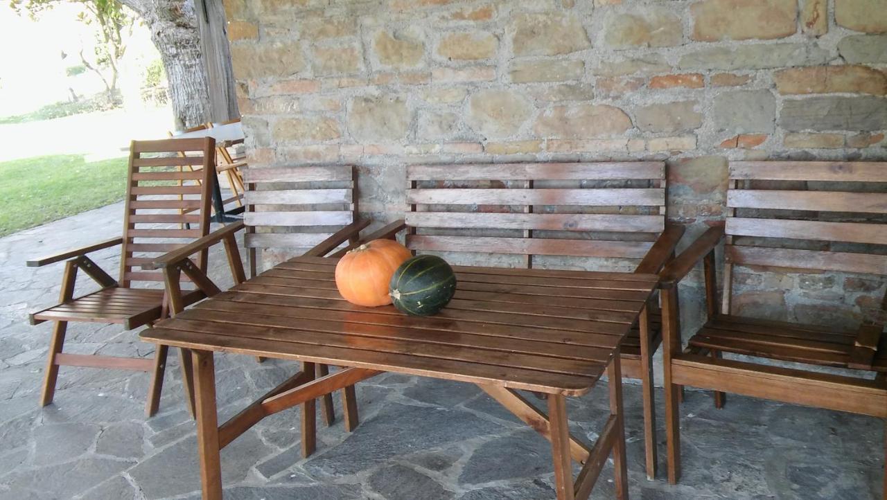 Agriturismo Il Bacucco Montecarotto Eksteriør billede